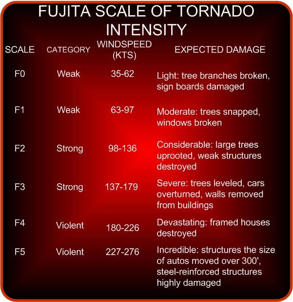 Fuigita Scale